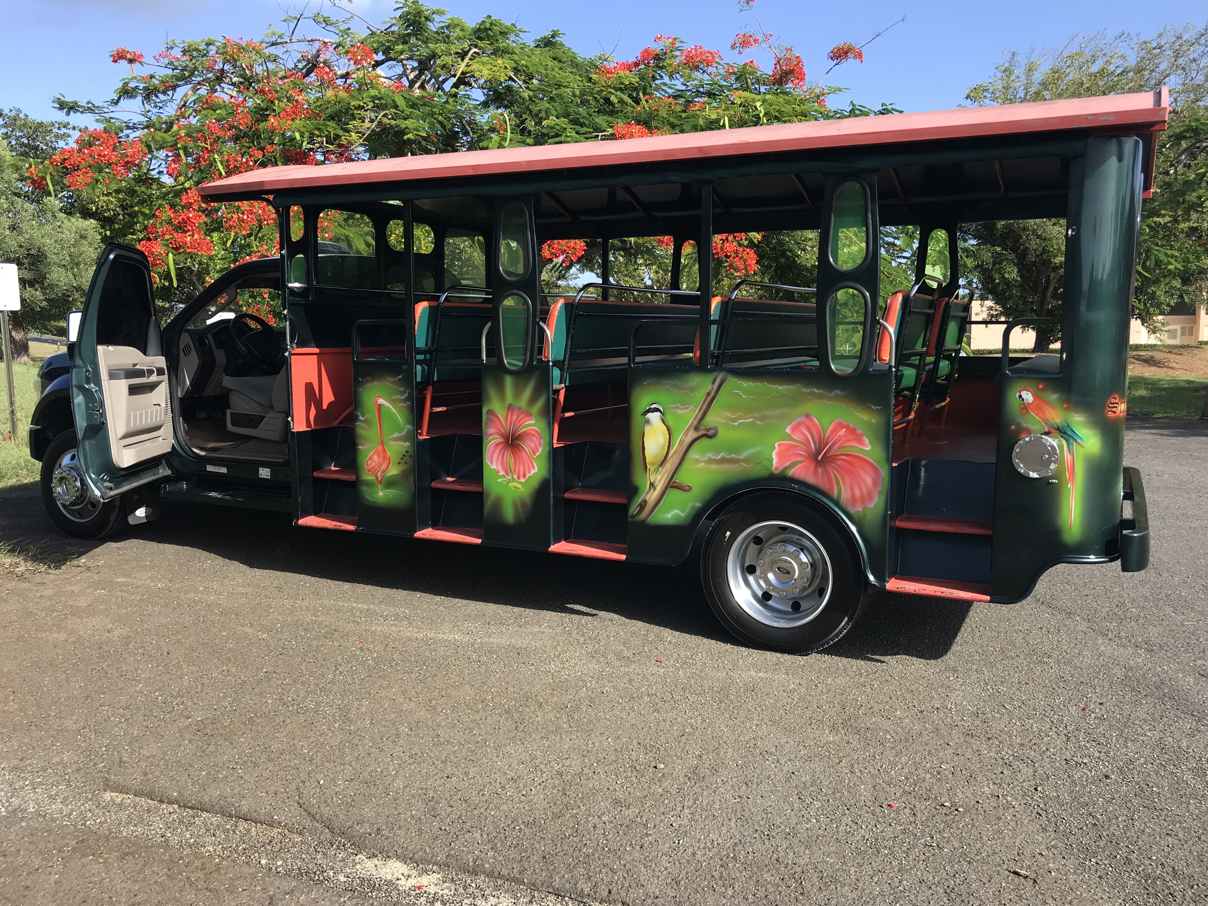 27 Passenger Safari Open Air 